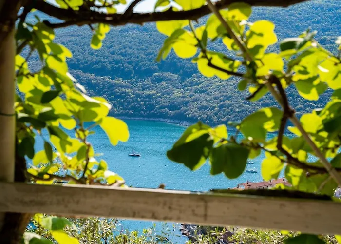 דירה Pretty 2bdr With Terrace, With 2 Bathrooms, 41 ראבץ